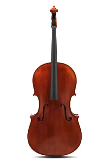 Cello Europa Maestro