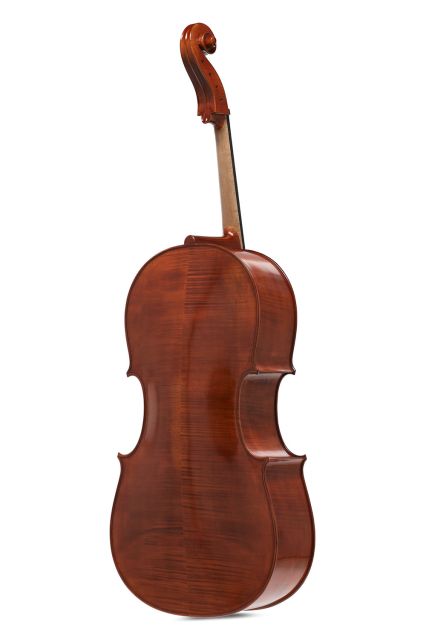 Cello Europa Maestro