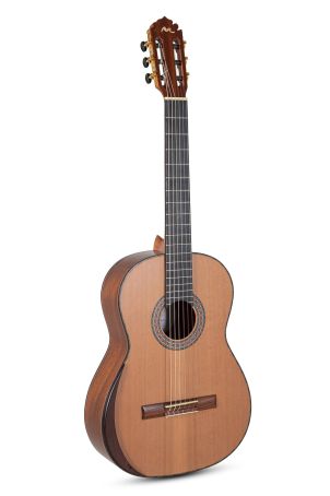 MAGISTRAL Serie Celomasiv Cedar D-C