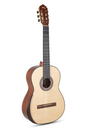 MAGISTRAL Serie Celomasiv Spruce D-S