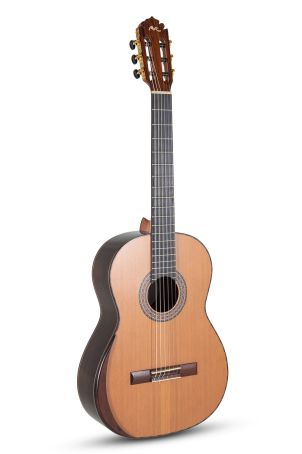 MAGISTRAL Serie F ind. Palisander all solid Cedar/Rosewood F-C